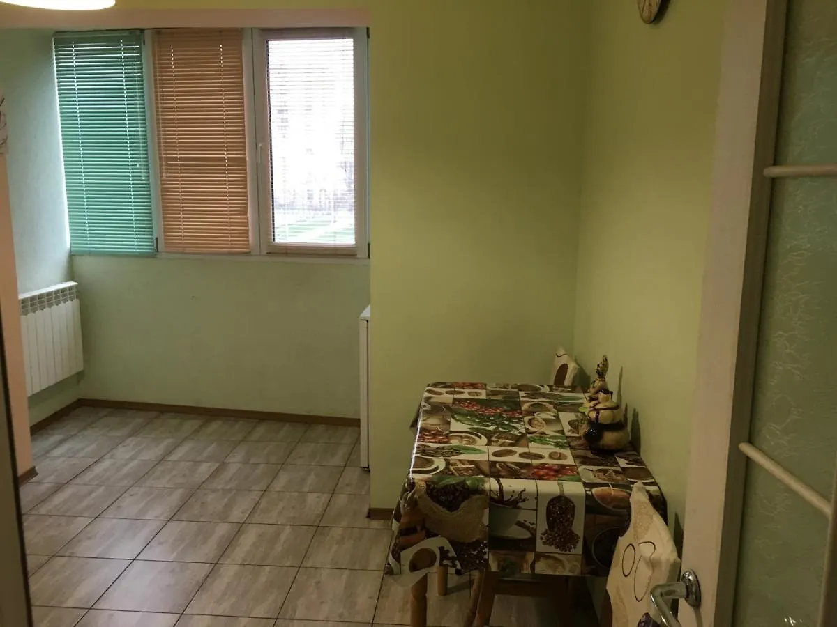 Apartment On The Obolon 基輔 乌克兰